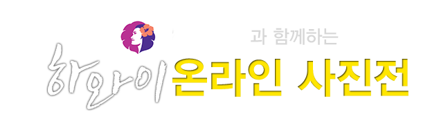 하와이안 항공과 함께하는 D810, D750 하와이 온라인 사진전