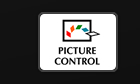 picture control 로고