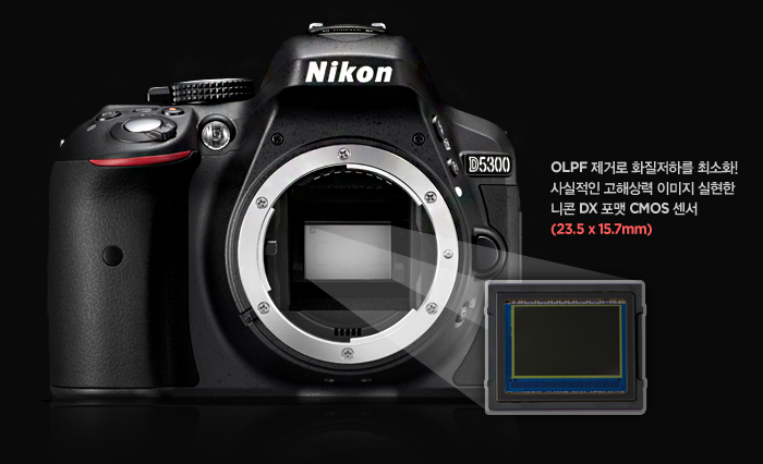 OLPF 제거로 화질저하를 최소화! 사실적인 고해상력 이미지 실현한 니콘 DX 포맷 CMOS 센서 (23.5 x 15.7mm)