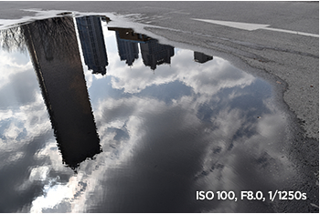 ISO 100, F8.0, 1/1250s 샘플 이미지