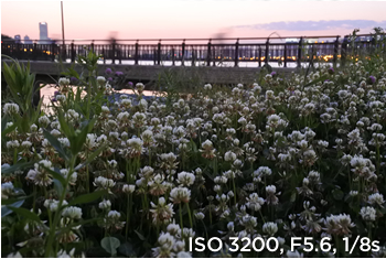 샘플사진 ISO 3200, F5.6, 1/8s