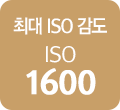 최대 ISO 감도 ISO 1600