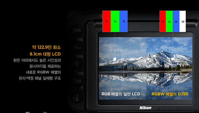  122.9 ȭ 8.1cm  LCD,  ߿ܿ  μ þ߰ ϴ ο RGBW 迭 • г ü 