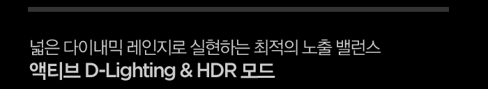  ̳  ϴ   뷱 Ƽ D-Lighting,HDR 