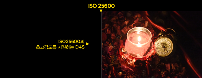 D4S의 ISO 25600 샘플 사진 : ISO25600의 초고감도를 지원하는 D4S