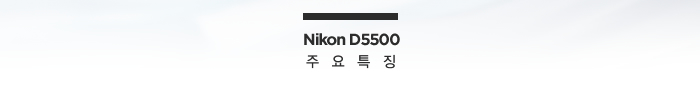 Nikon D5500 주요특징