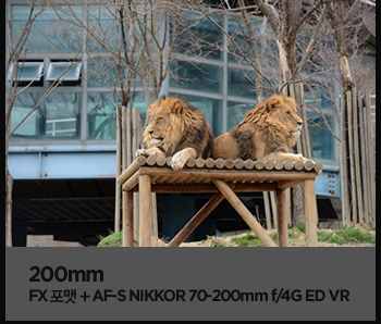 200mm. fx포맷 + af-s nikkor 70-200mm f/4g ed vr