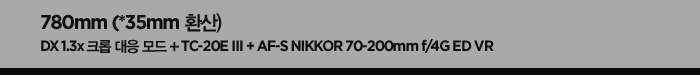780mm(*35mm 환산). dx 1.3x 크롭 대응 모드 + tc-20e ⅲ + af-s nikkor 70-200mm f/4g ed vr
