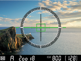 가상 지평선 표시 기능이 실행된 액정 모니터 예시 이미지 